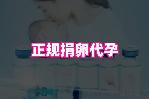 香港助孕网 1