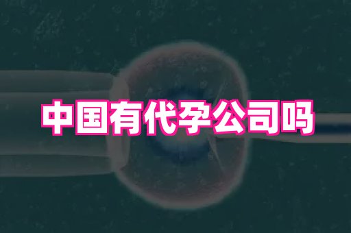 香港助孕网 3